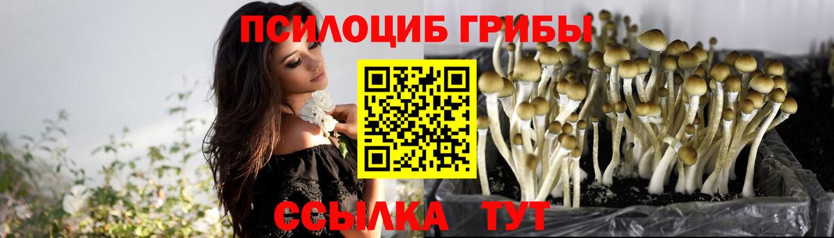 Галлюциногенные грибы MAGIC MUSHROOMS Трёхгорный